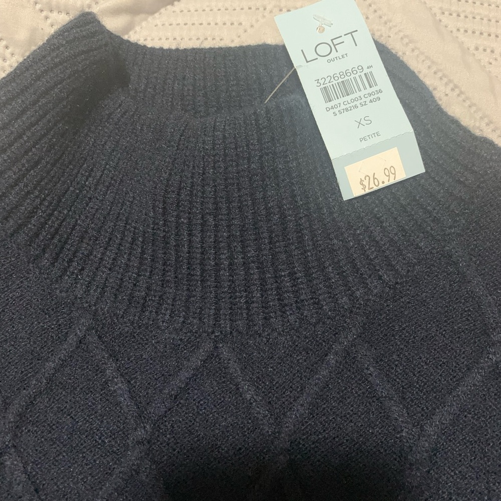 Blue Loft mockneck sweater